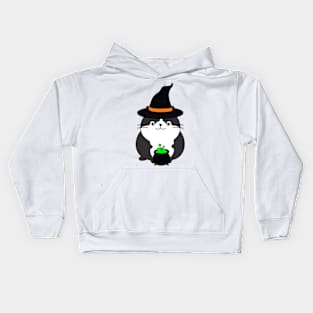 Funny fat cat is wearing a witch costume Kids Hoodie